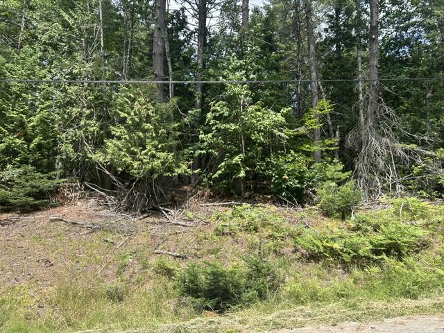 Dover-foxcroft Holmes Road Dover-Foxcroft, ME 04426 - Photo 2 of 3 Holmes Road 3