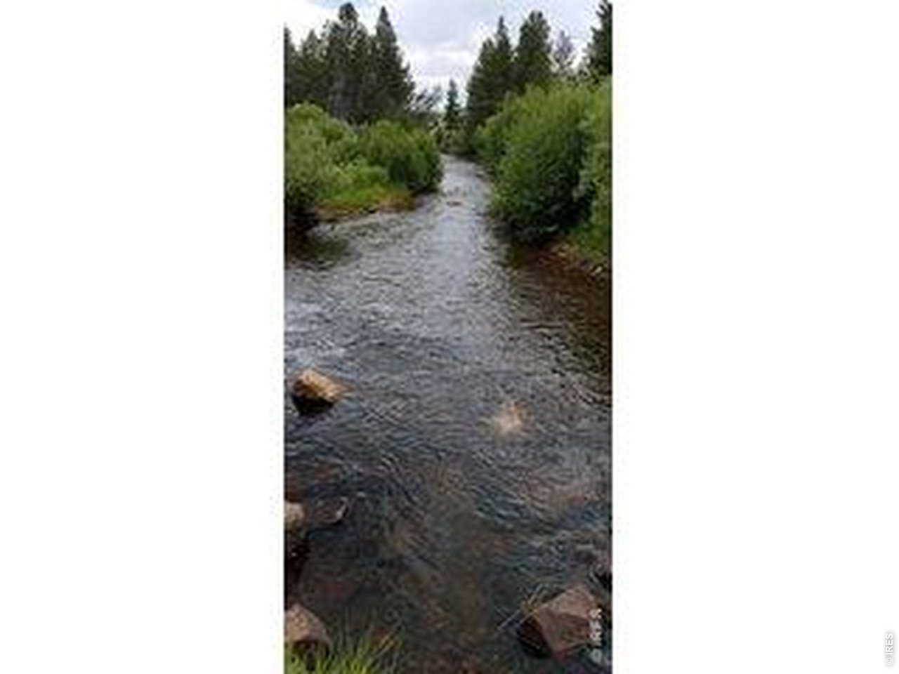 534 Blackfoot Road Red Feather Lakes, CO 80545 - Photo 12 of 50