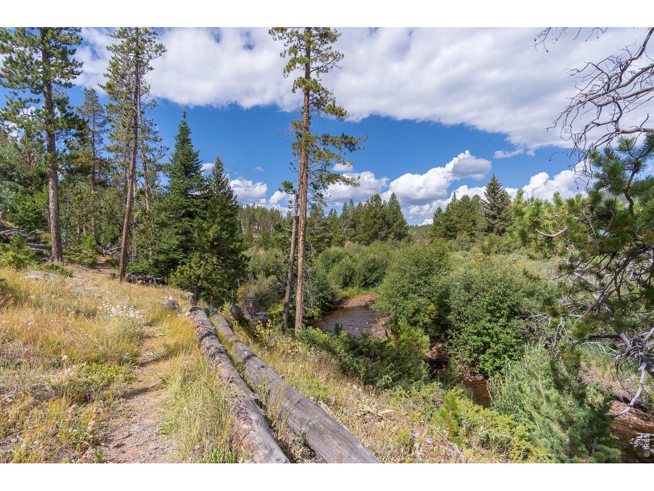 534 Blackfoot Road Red Feather Lakes, CO 80545 - Photo 14 of 50