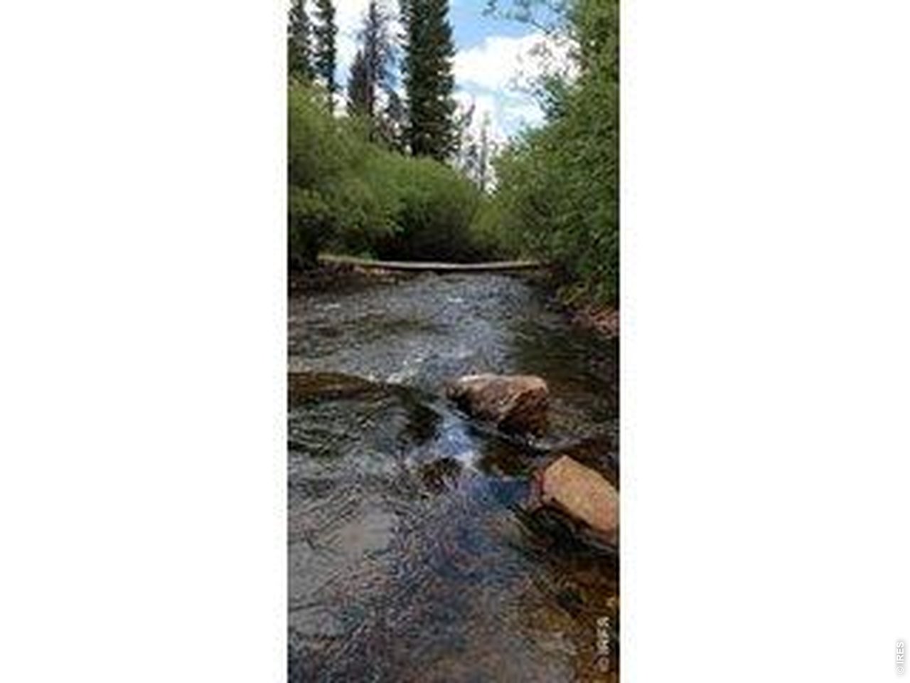 534 Blackfoot Road Red Feather Lakes, CO 80545 - Photo 15 of 50