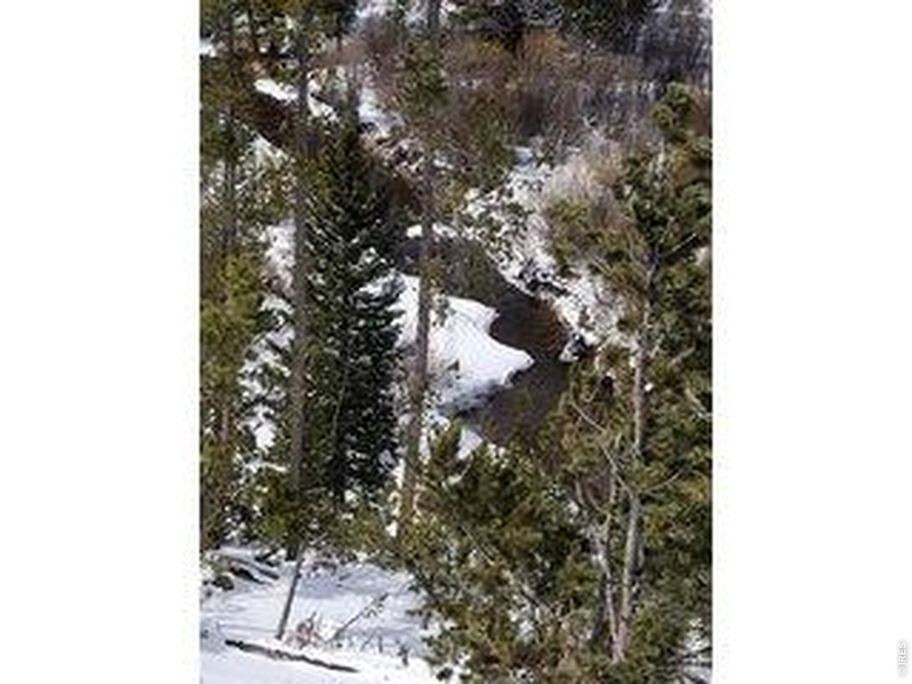 534 Blackfoot Road Red Feather Lakes, CO 80545 - Photo 16 of 50