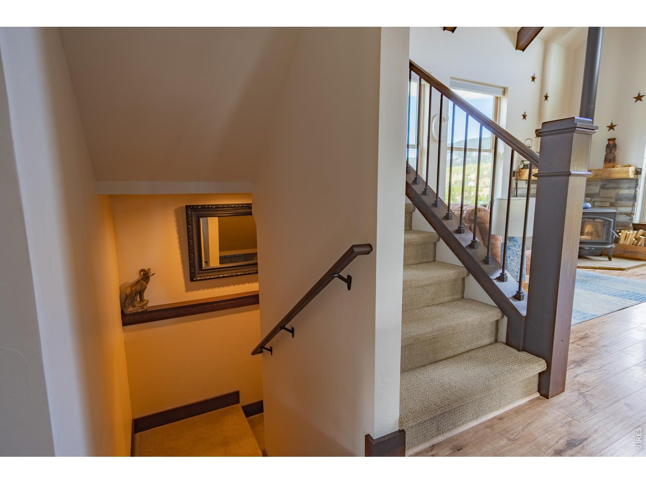 534 Blackfoot Road Red Feather Lakes, CO 80545 - Photo 41 of 50