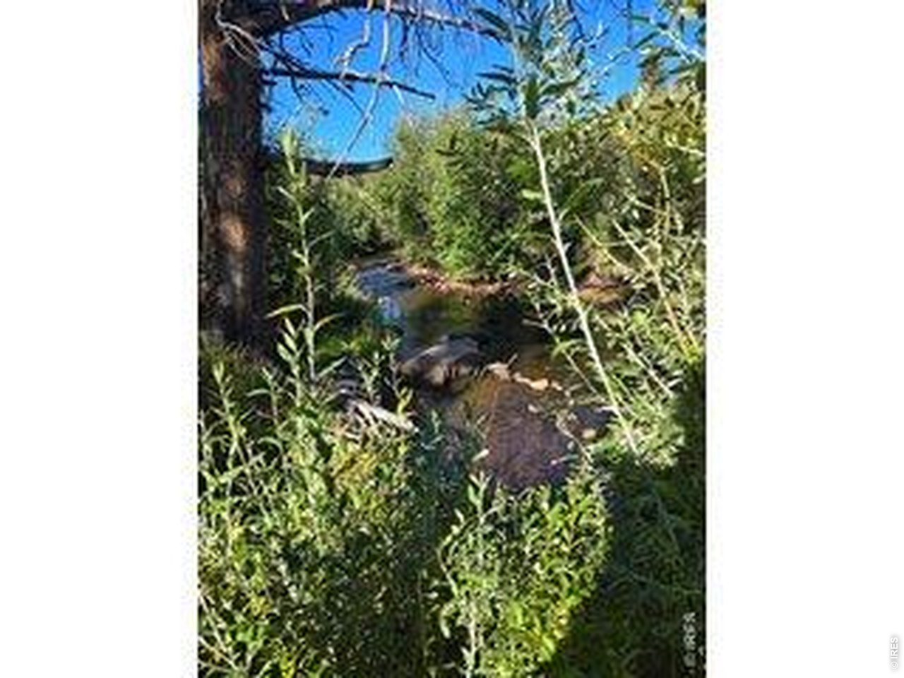 534 Blackfoot Road Red Feather Lakes, CO 80545 - Photo 50 of 50