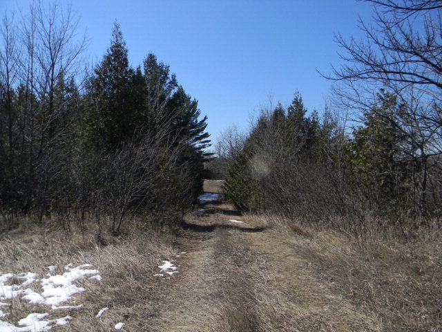 Timberline Creek Ellison Bay, WI 54210 - Photo 4 of 6