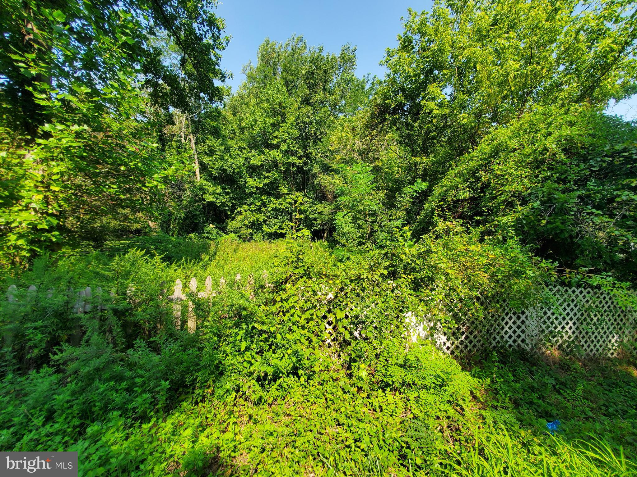 918 Carsins Run Road Aberdeen, MD 21001 - Photo 3 of 4 a view of a lush green forest