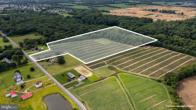 an aerial view of a house with a garden and lake view
