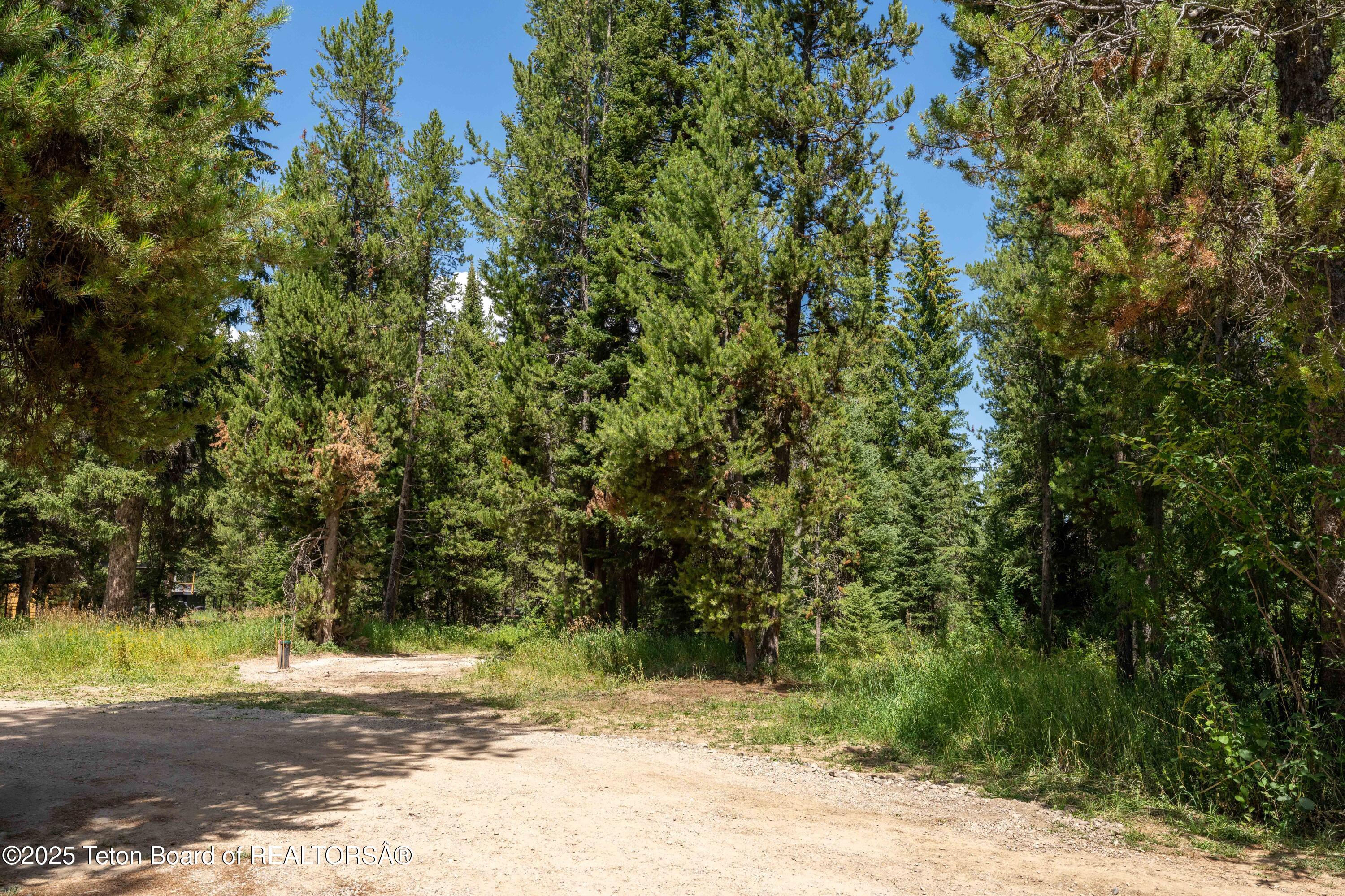 6255 Heck Of A Hill Road Wilson, WY 83014 - Photo 22 of 29 New Driveway