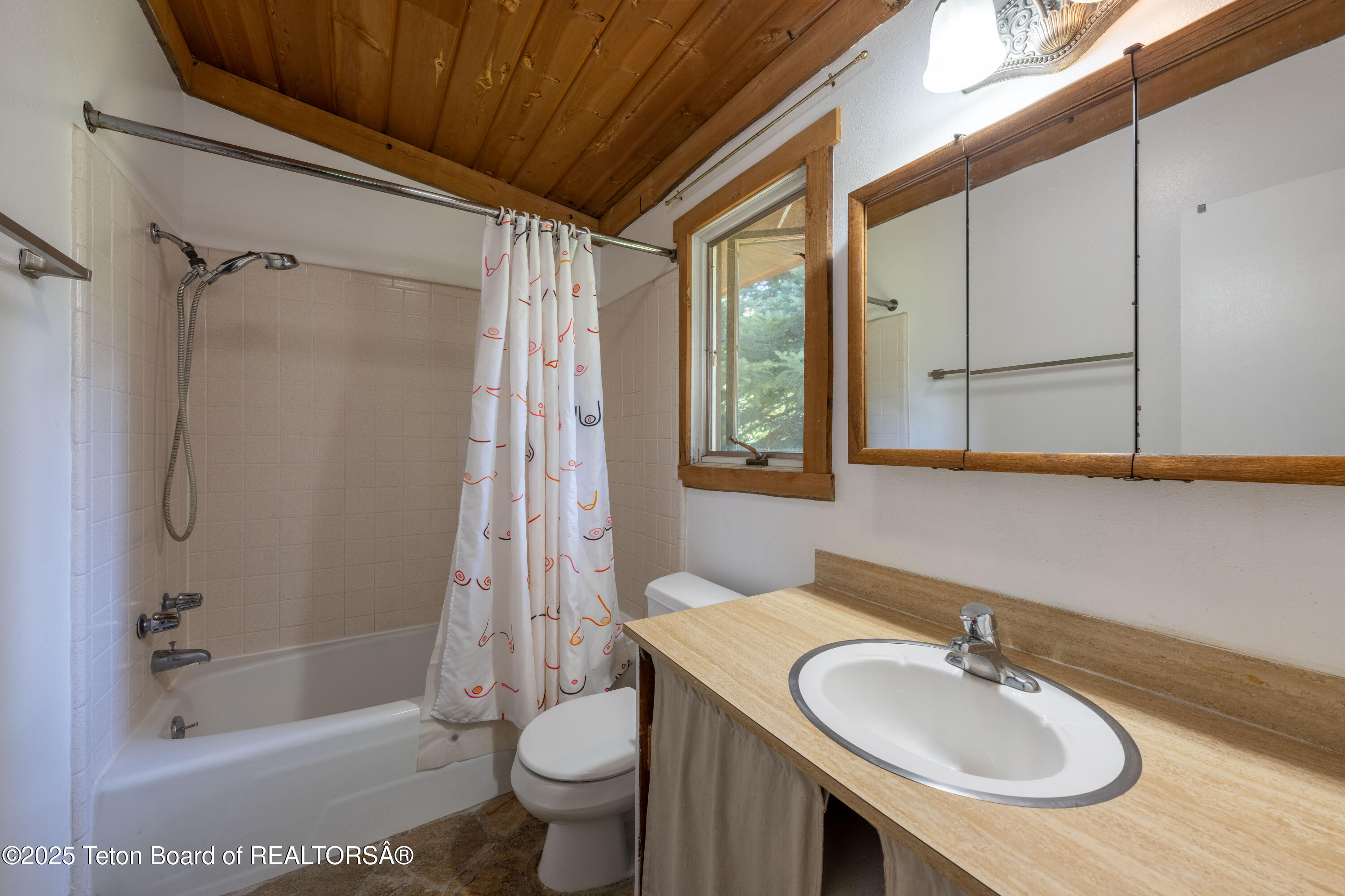 6255 Heck Of A Hill Road Wilson, WY 83014 - Photo 8 of 29 Bathroom