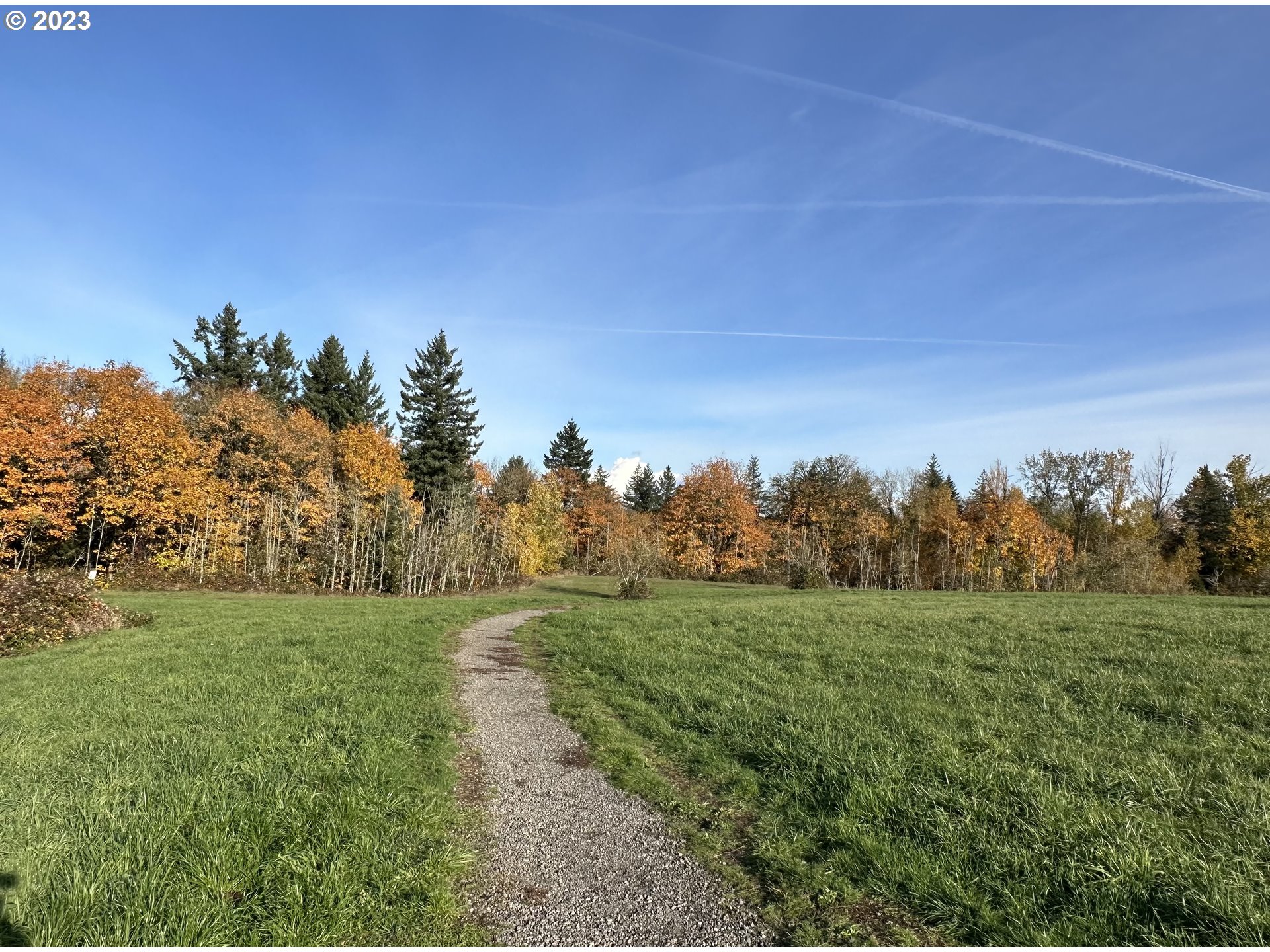 15125 Southeast Aston Loop Portland, OR 97236 - Photo 41 of 42 a view of a field with trees in background