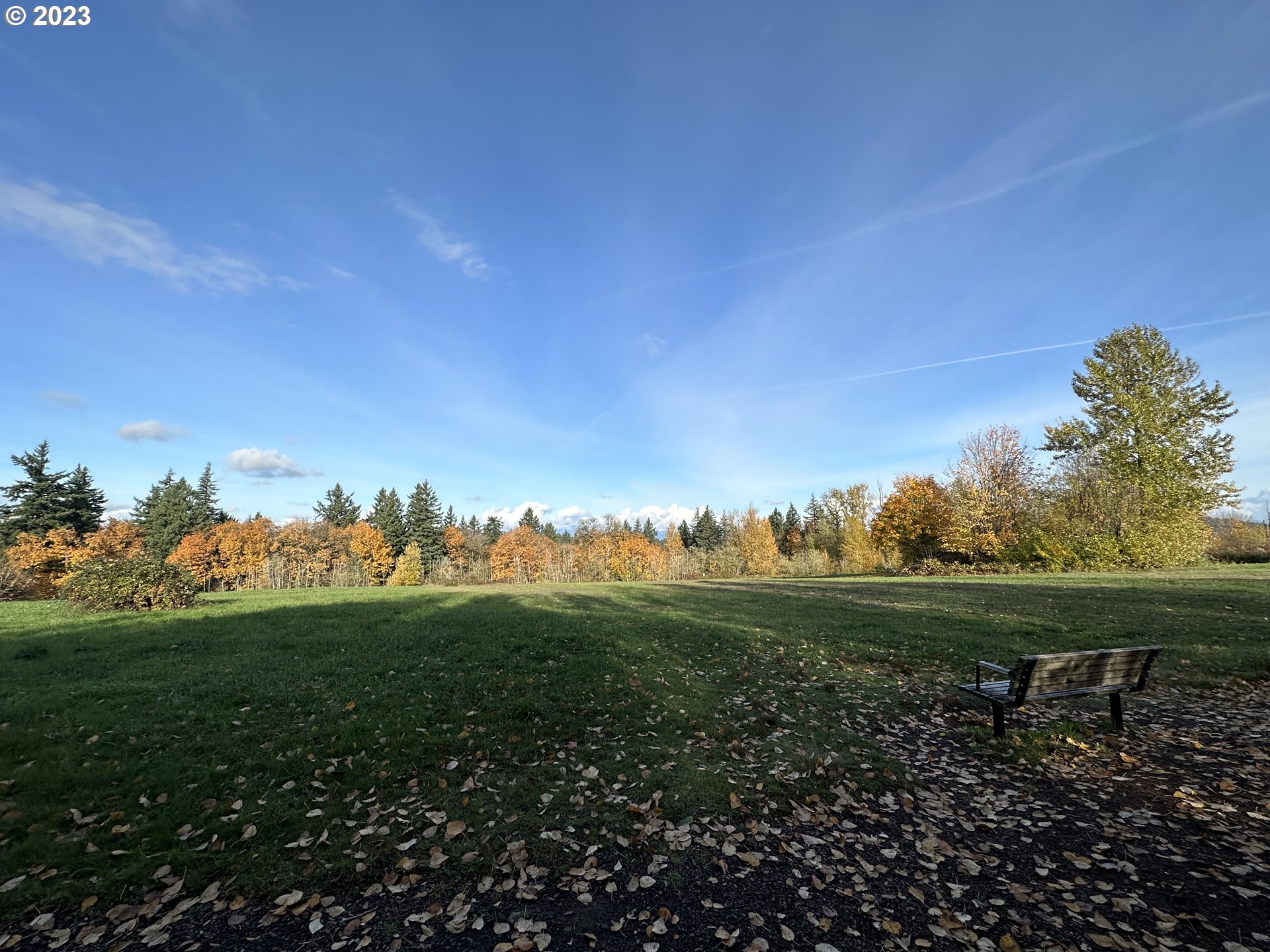 15125 Southeast Aston Loop Portland, OR 97236 - Photo 42 of 42 a view of a grassy area with an trees