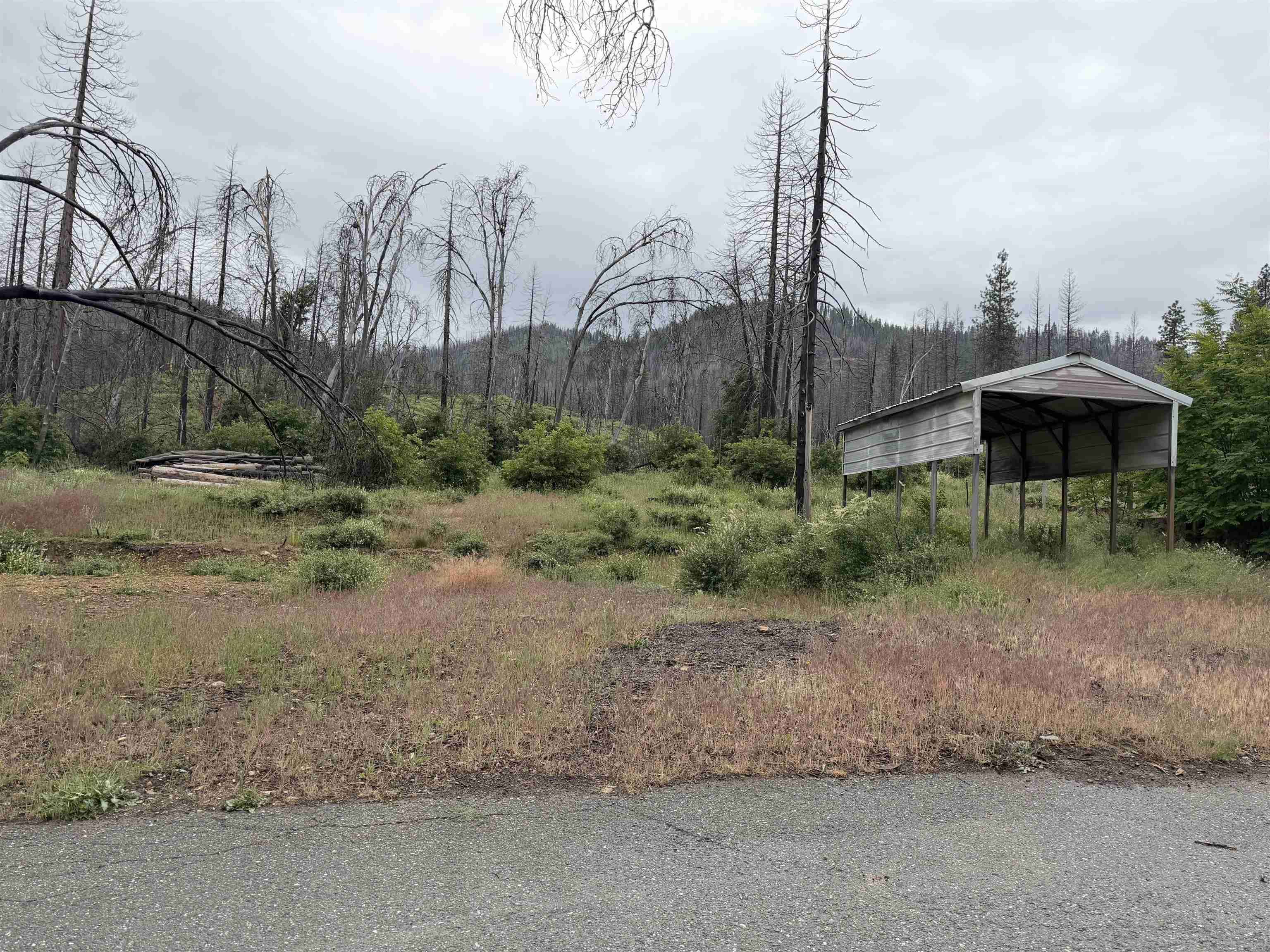 152 Standardt Mine Road Greenville, CA 95947 - Photo 3 of 7