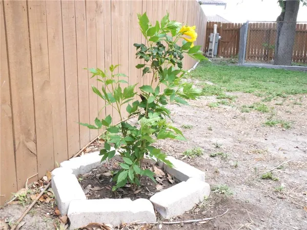 $1,200 | 2011 Oliva Street, Edinburg, TX 78539