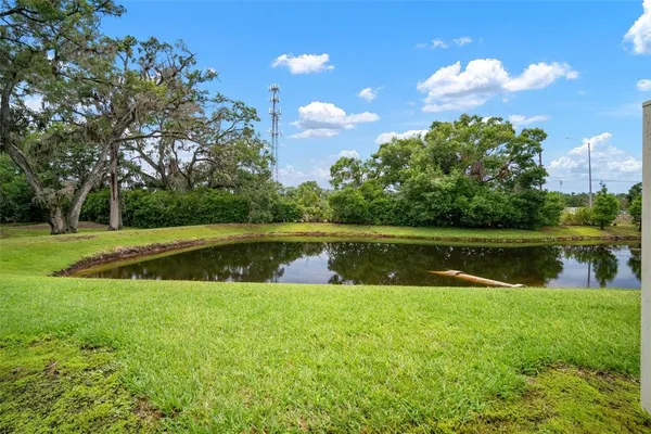 a view of a lake