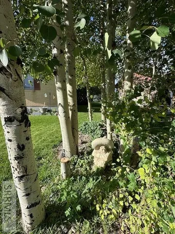 $425,000 | 301 Ashland Drive, Soda Springs, ID 83276