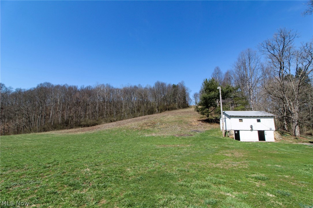 39353 Walnut Camp Road Sardis, OH 43946 - Photo 23 of 42 View of yard featuring a shed