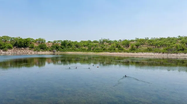 a view of a lake with a city from a lake
