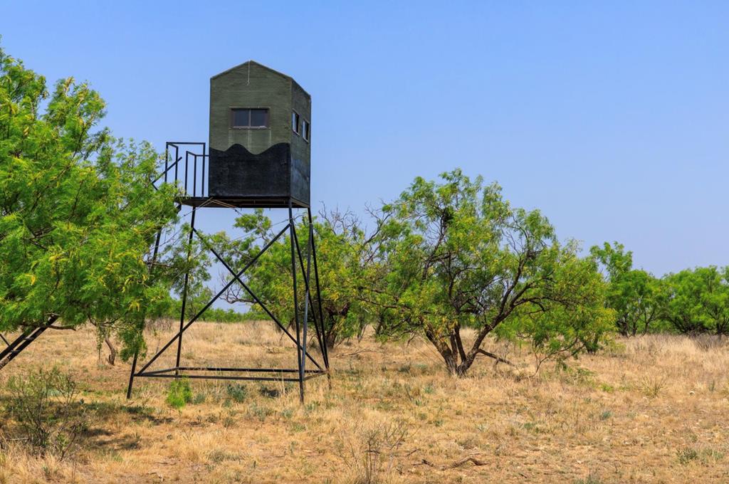 701 County Road Goldsboro, TX 79519 - Photo 11 of 17 a picture of a yard