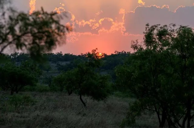 a view of outdoor space and yard