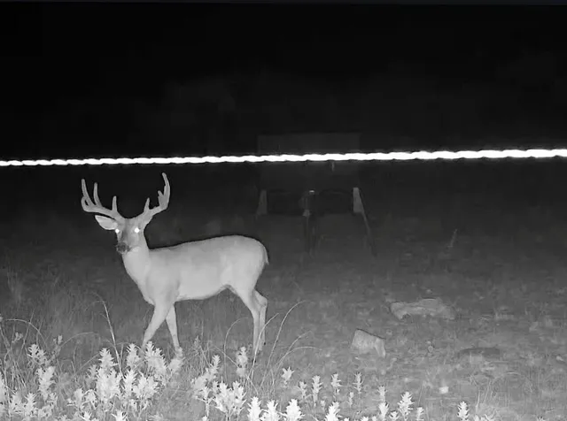 a balcony with table and chairs
