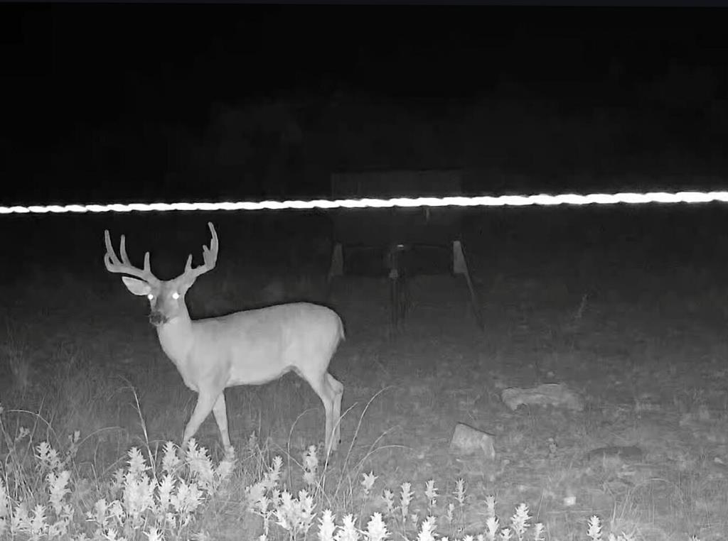 701 County Road Goldsboro, TX 79519 - Photo 17 of 17 a balcony with table and chairs