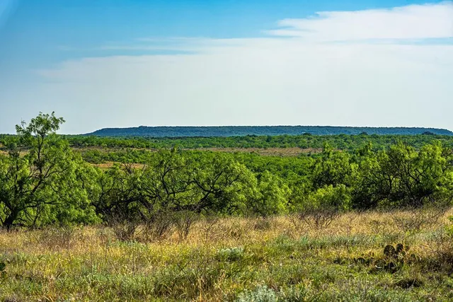 a view of a field with an ocean