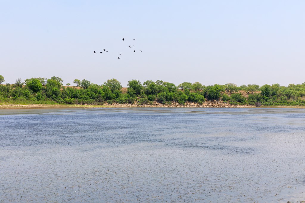 701 County Road Goldsboro, TX 79519 - Photo 8 of 17 a backyard of a house