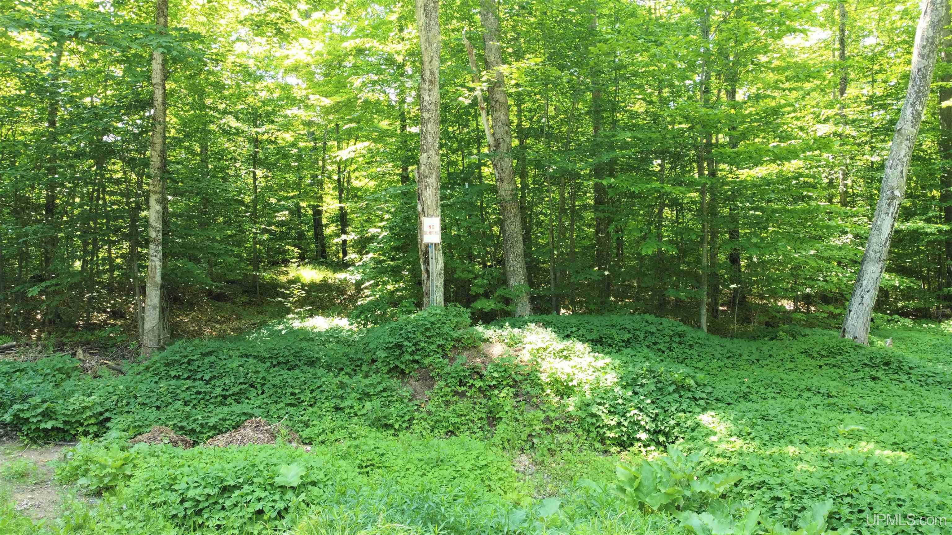 On Gage Road Munising, MI 49862 - Photo 5 of 17