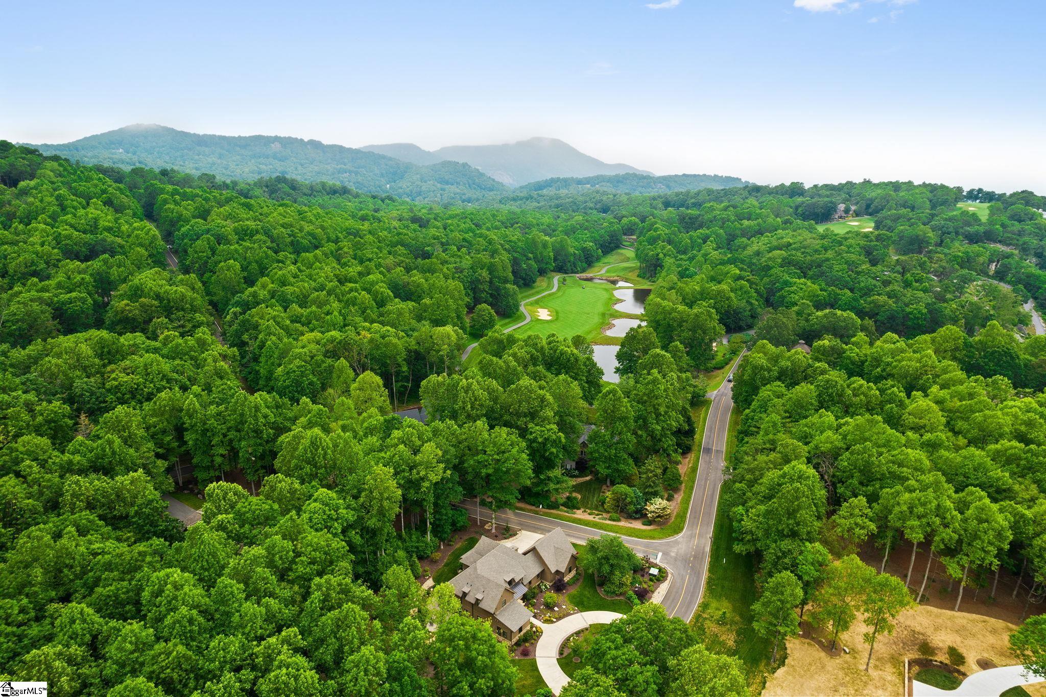 7873 Glassy Ridge Road Landrum, SC 29356 - Photo 45 of 50