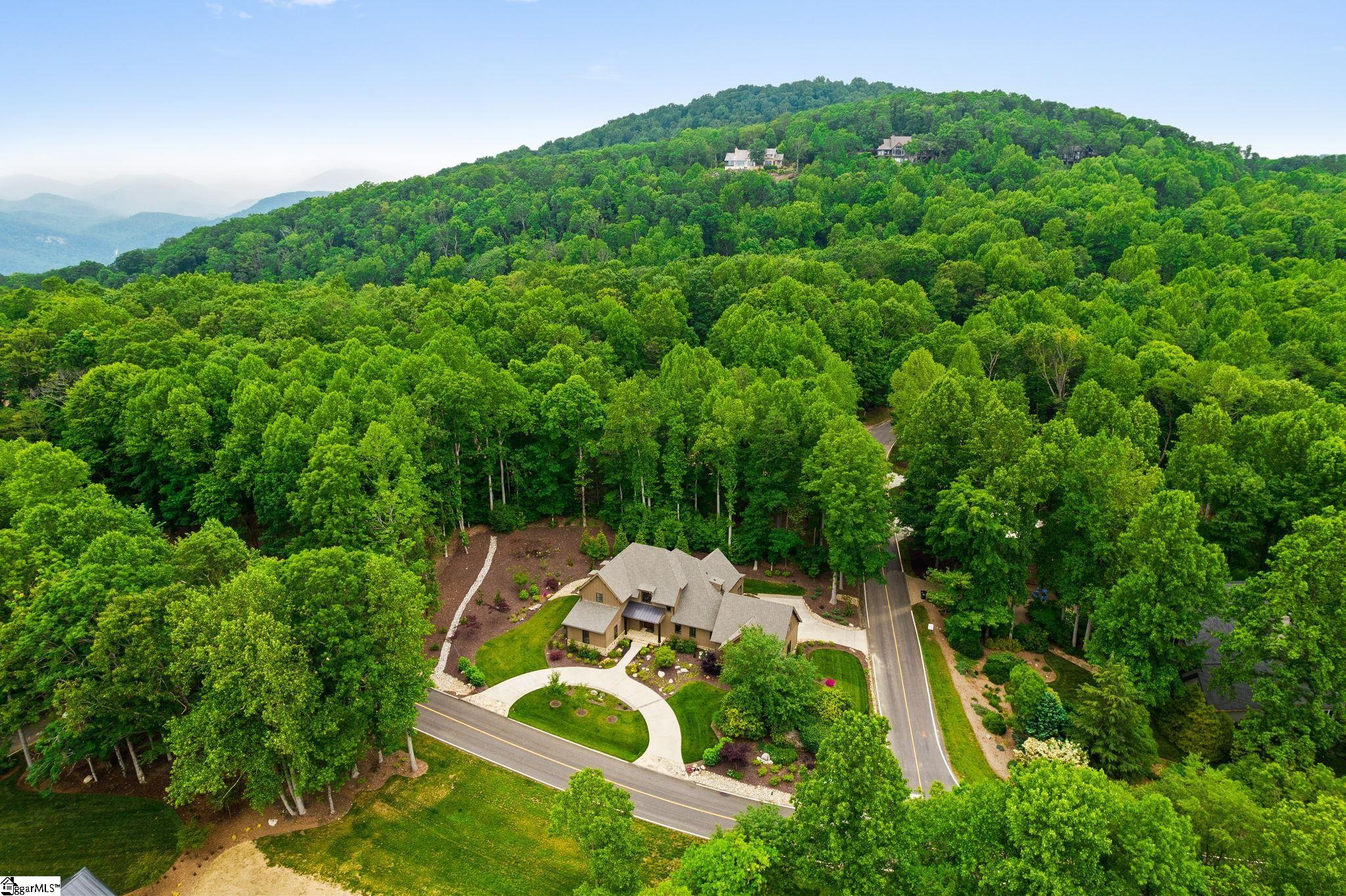 7873 Glassy Ridge Road Landrum, SC 29356 - Photo 46 of 50