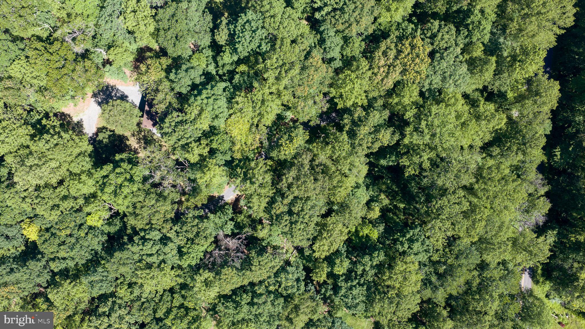 11408 Dutch Hollow Road Culpeper, VA 22701 - Photo 67 of 85