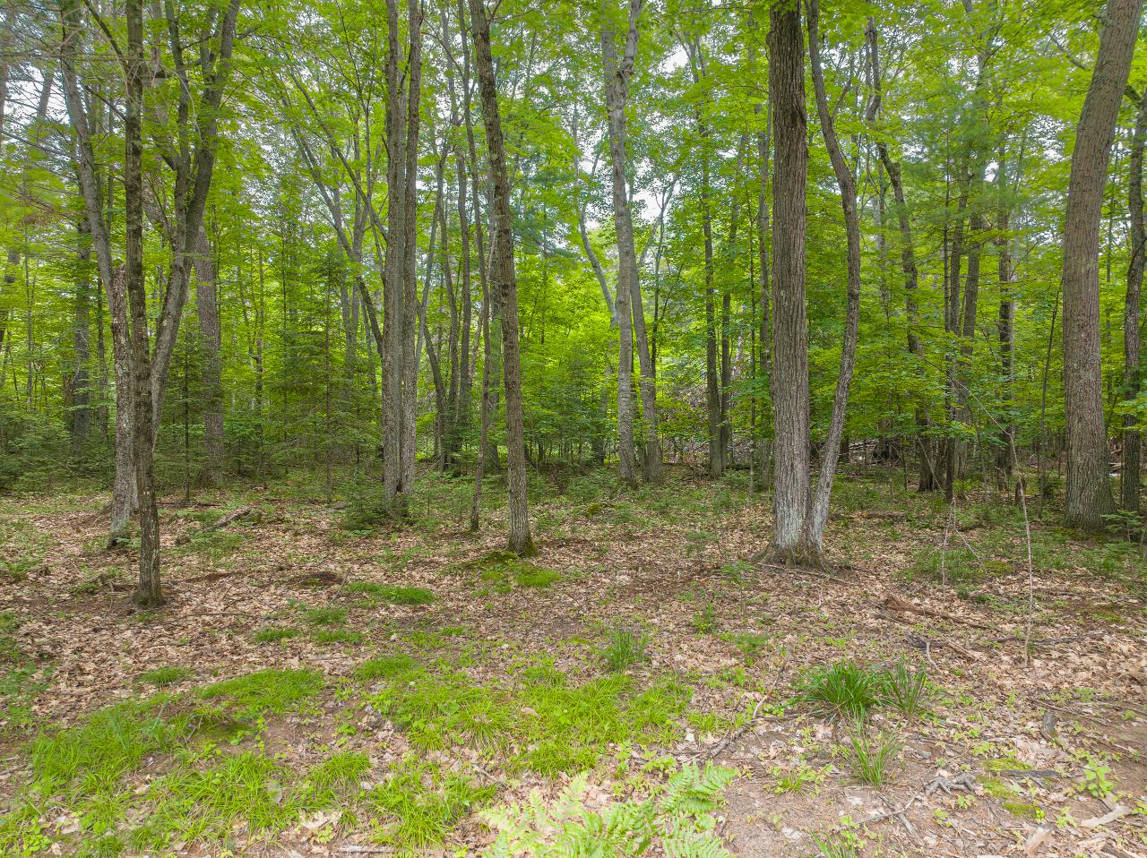 2850 Francisco Road Eagle River, WI 54521 - Photo 25 of 48 Gallery Image 25