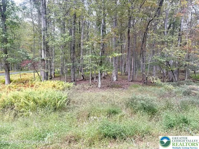 a view of outdoor space with trees
