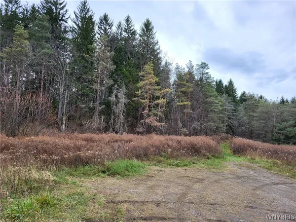 $246,900 | 219 Us Route, West Valley, NY 14171