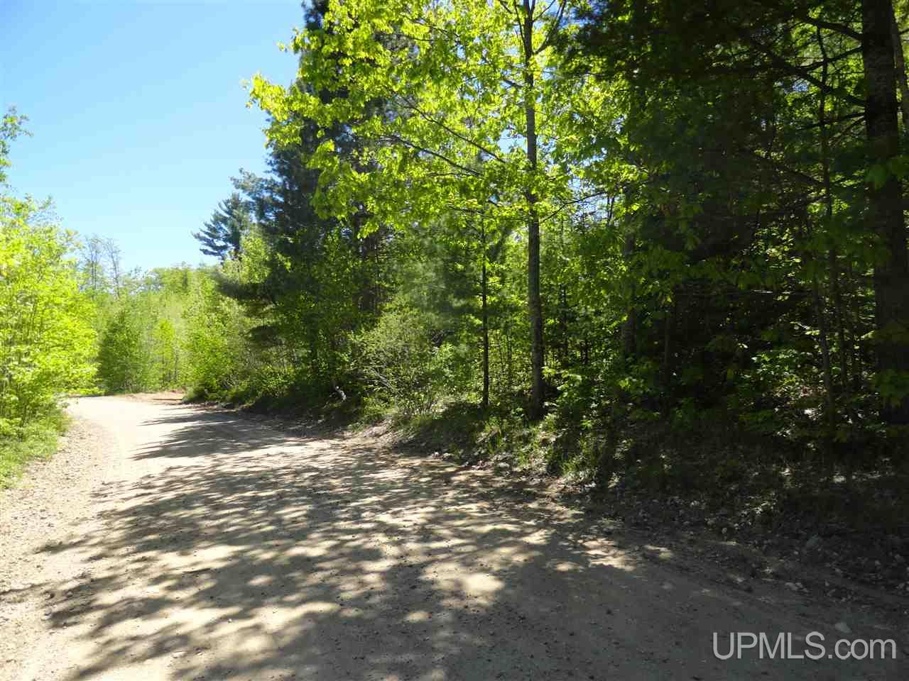 40 Two 2 Mile Creek Road Channing, MI 49815 - Photo 2 of 15