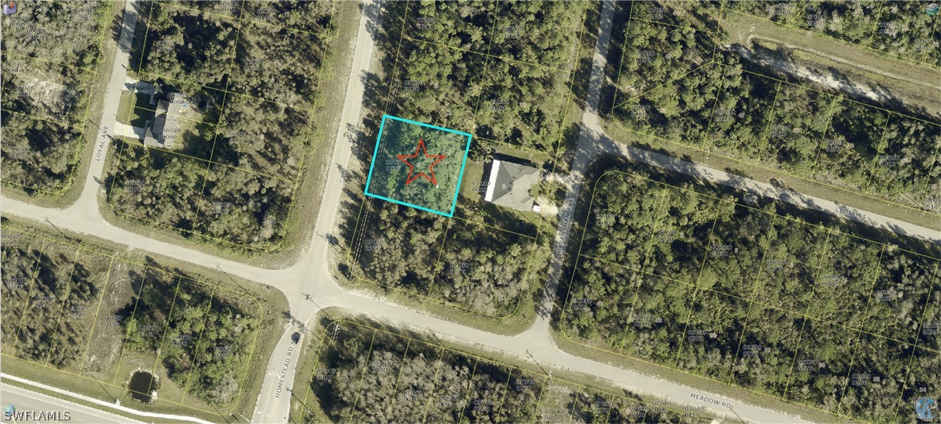 1041 Homestead Road South Lehigh Acres, FL 33974 - Photo 1 of 3 a view of a yard with plants and brick wall