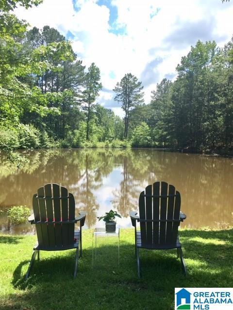 132 Holiday Lane Chelsea, AL 35043 - Photo 1 of 50
