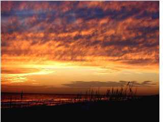 11 East Salt Box Lane Inlet Beach, FL 32459 - Photo 1 of 1 Gallery Image 1