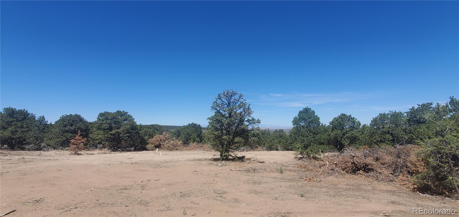 Lot 1321 Michaels Road San Luis, CO 81152 - Photo 3 of 17