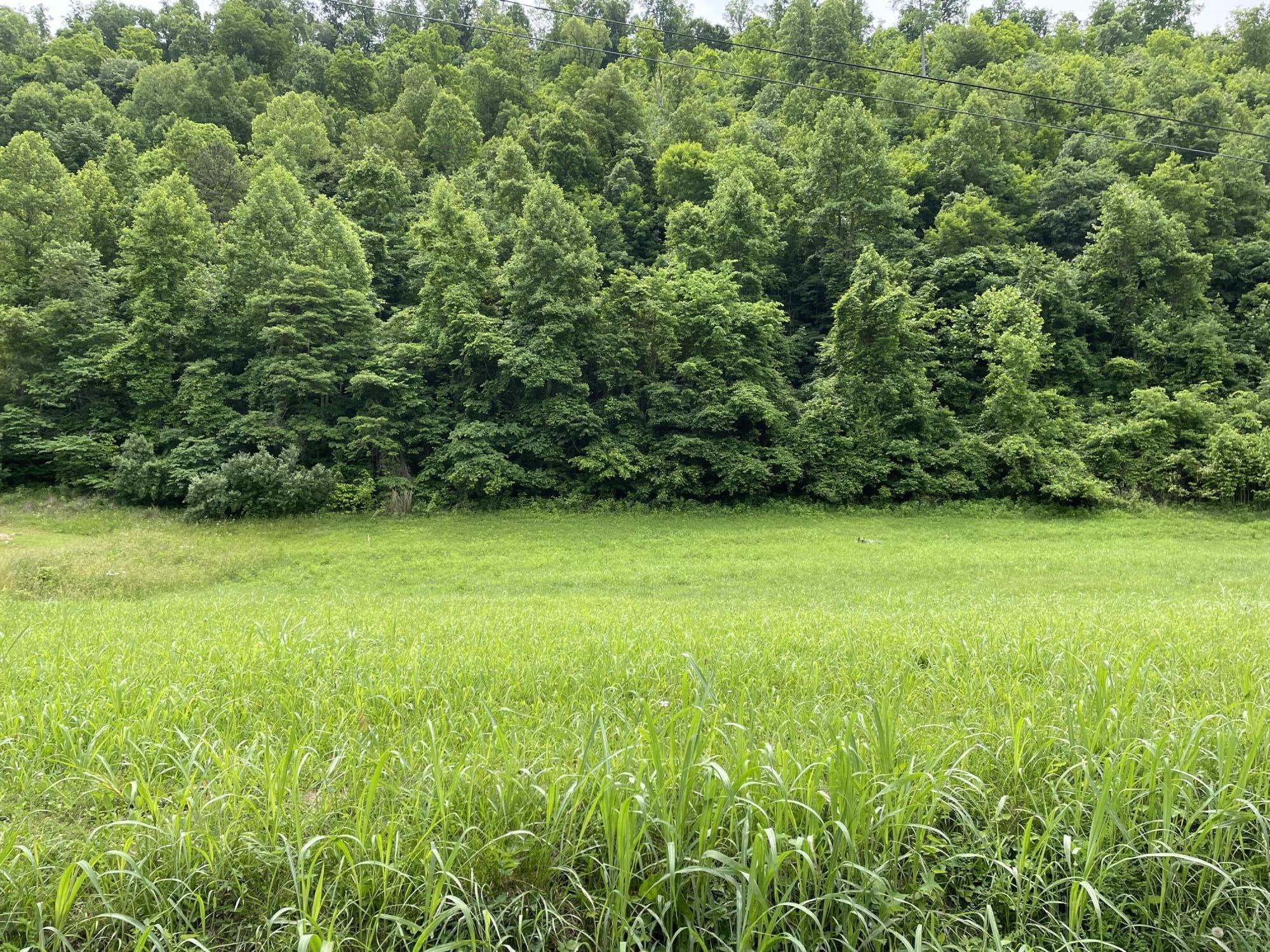 Lot 7 Waters Edge, Unit 7 Duffield, VA 24244 - Photo 3 of 13 57BCF986-847A-41D6-A8C6-0B81B902FAD2