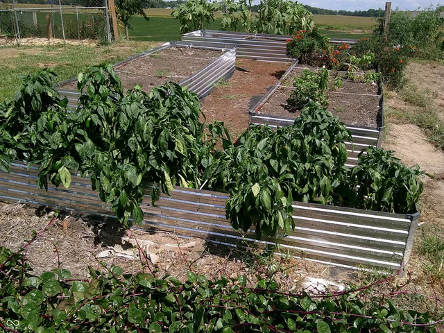 $295,000 | 1661 Killion Avenue, Seymour, IN 47274