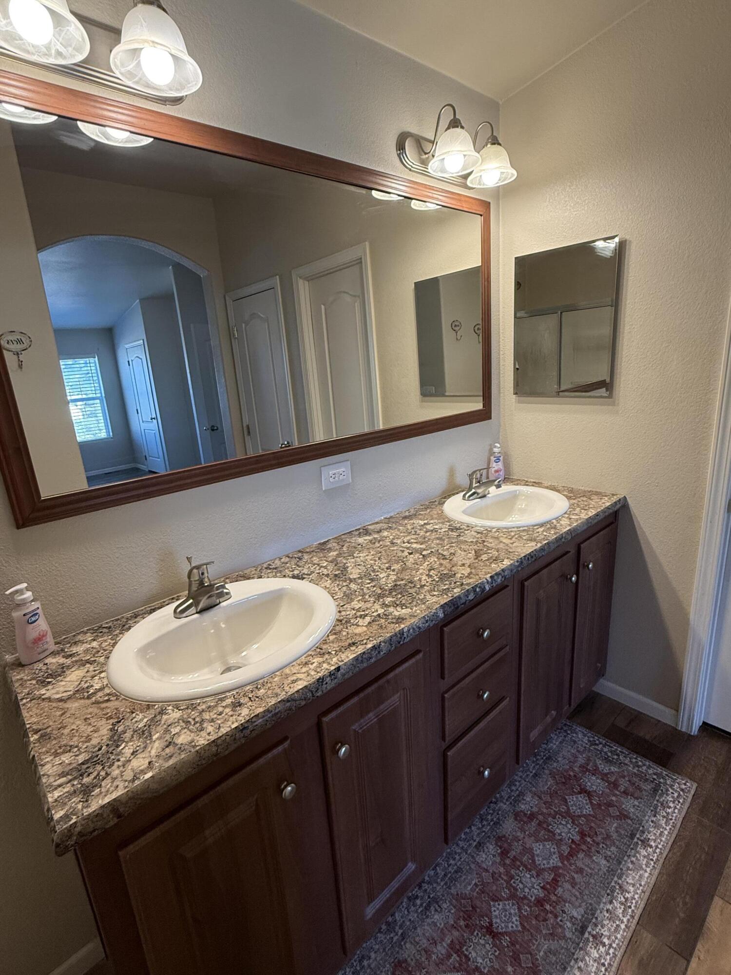 345 Old Mill Road Tonto Basin, AZ 85553 - Photo 13 of 32 Main bathroom