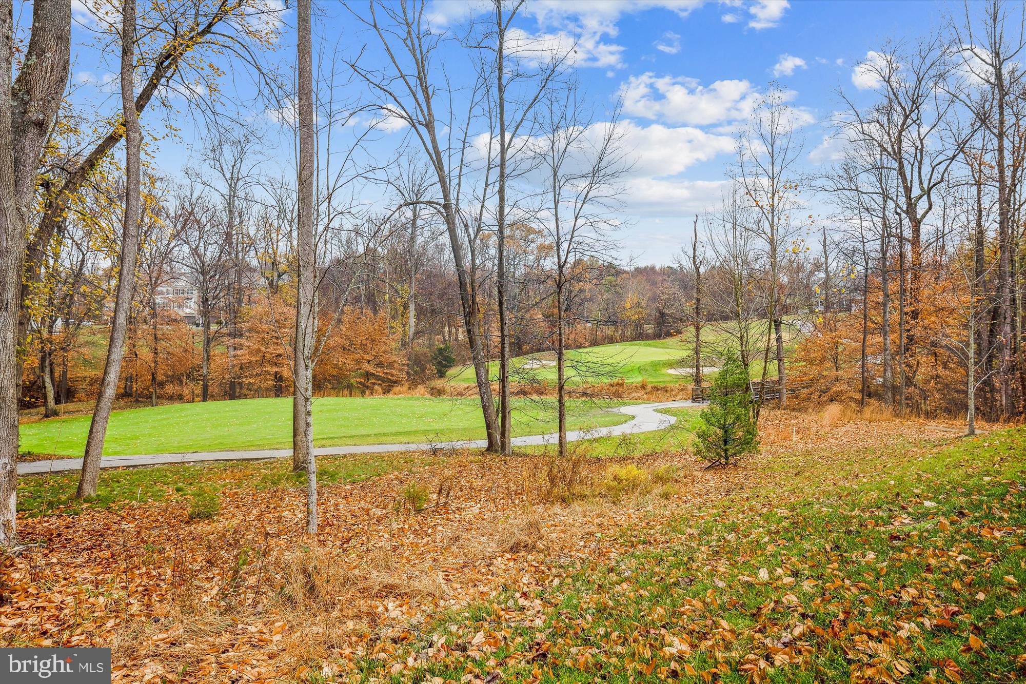 15707 Monksilver Bend Upper Marlboro, MD 20774 - Photo 42 of 58 View