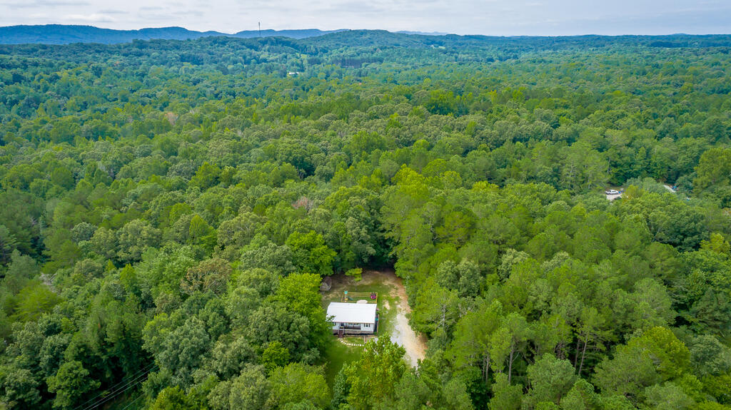 469 Round Pond Road LaFayette, GA 30728 - Photo 11 of 103 Gallery Image 11