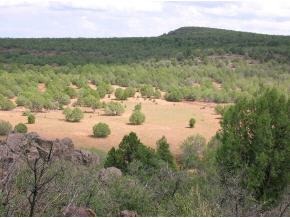 145 Rattlesnake Road Ash Fork, AZ 86320 - Photo 1 of 4 Primary Photo
