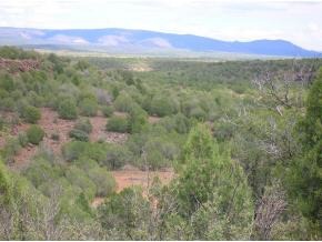 145 Rattlesnake Road Ash Fork, AZ 86320 - Photo 4 of 4 Additional Photo