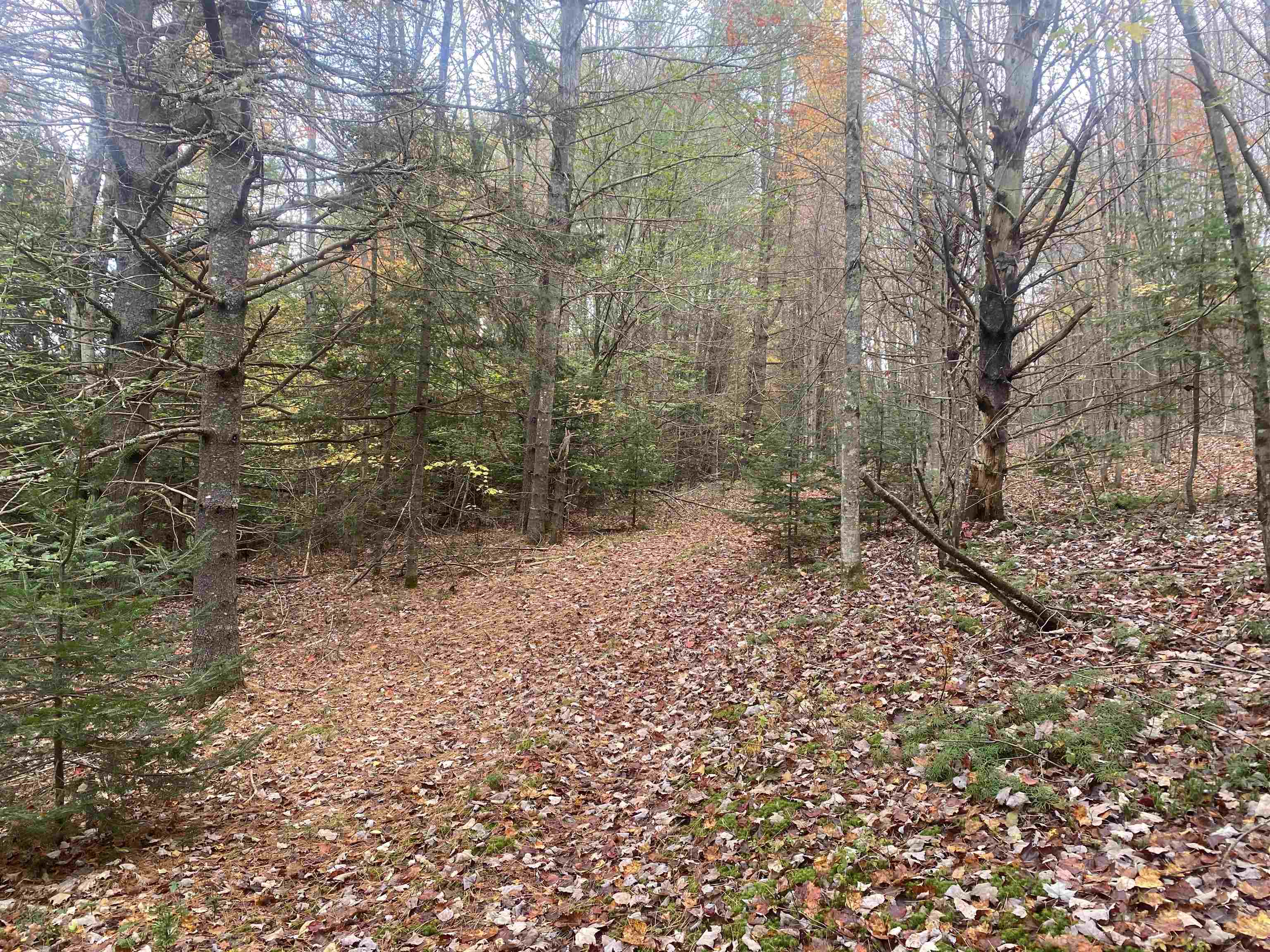 0 Ralph Road Brookfield, VT 05036 - Photo 11 of 14