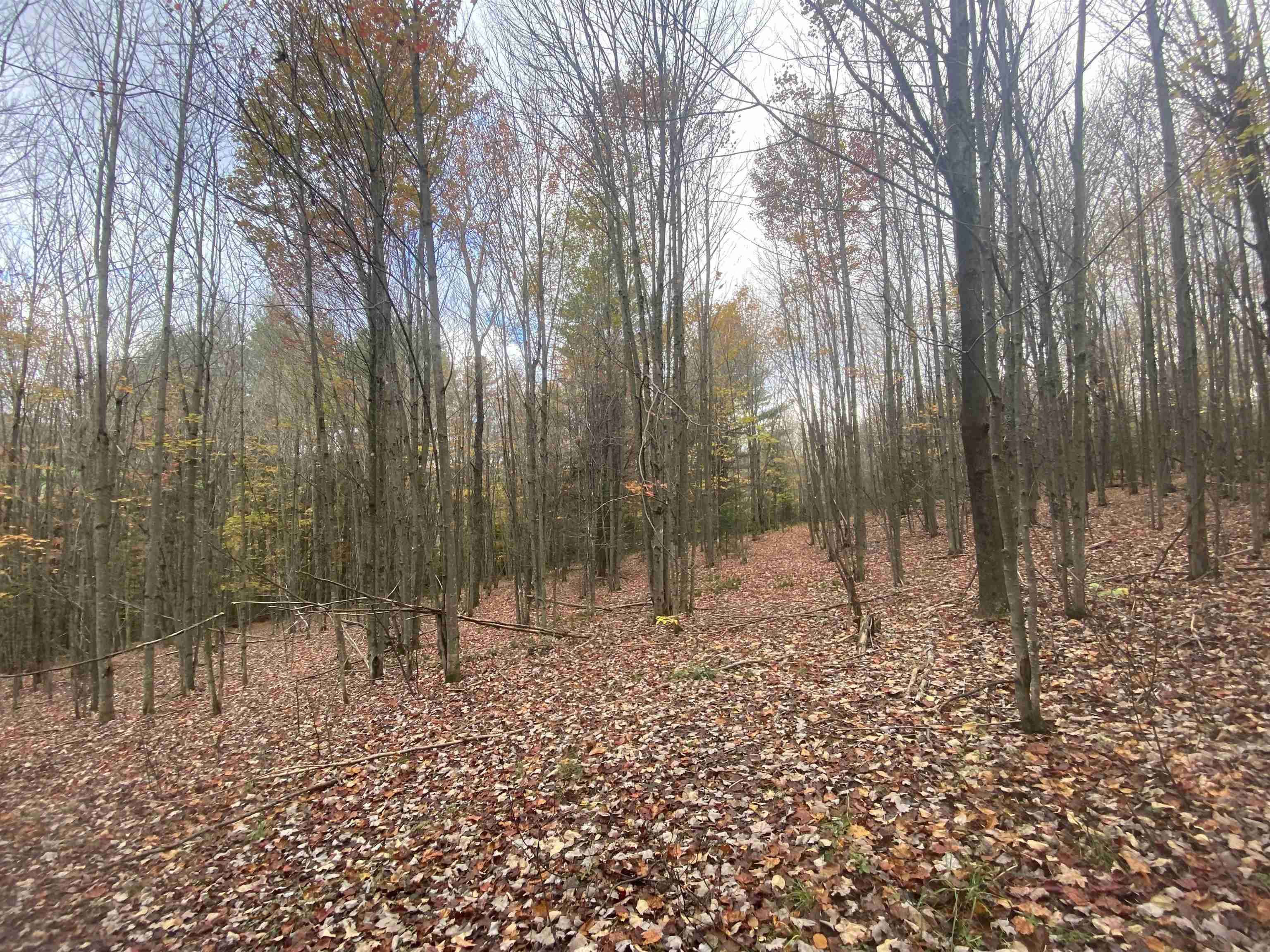 0 Ralph Road Brookfield, VT 05036 - Photo 12 of 14