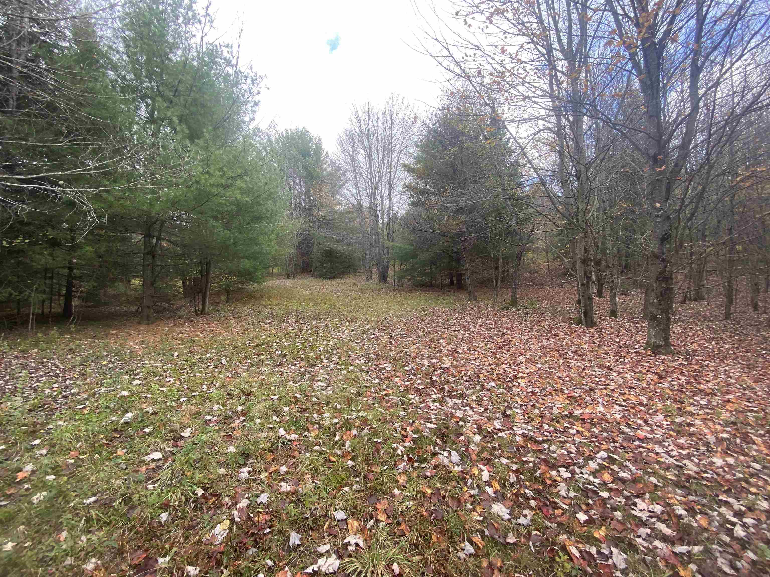 0 Ralph Road Brookfield, VT 05036 - Photo 13 of 14