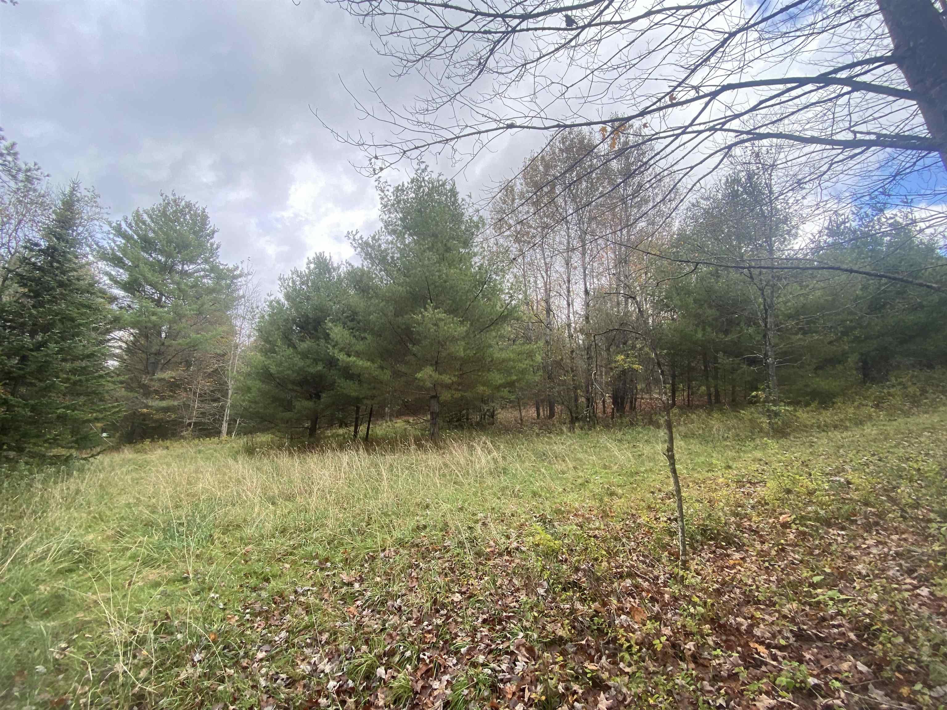 0 Ralph Road Brookfield, VT 05036 - Photo 14 of 14