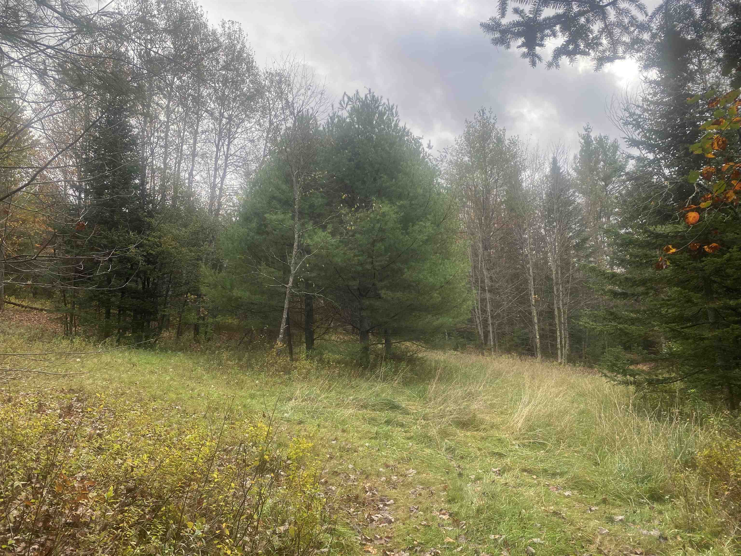 0 Ralph Road Brookfield, VT 05036 - Photo 2 of 14